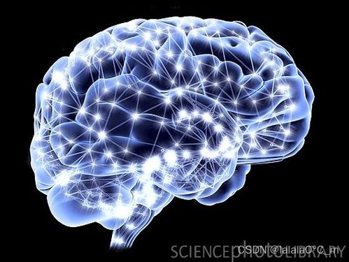 認識神經(jīng)網(wǎng)絡 從神經(jīng)元到深度學習 全面清晰易懂