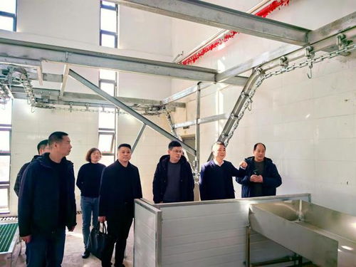 浙江省畜牧農(nóng)機(jī)發(fā)展中心赴寧海檢查家畜定點(diǎn)屠宰廠GMP建設(shè)情況